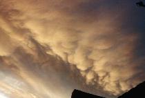 Mammatus