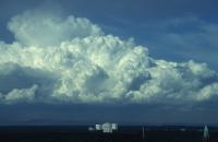 Cumulus congestus