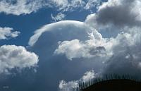 Cumulus congestus pileus